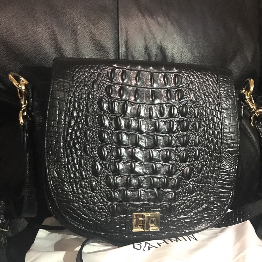 Black medium Brahmin